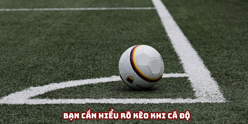 Bạn cần hiểu rõ kèo khi cá độ